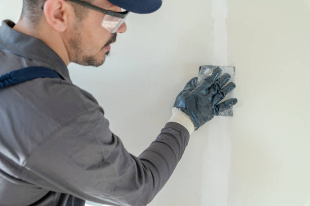 Best Forensic Mold Investigation  in Sardinia, OH