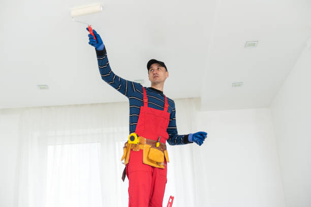 Best Emergency Mold Remediation  in Sardinia, OH