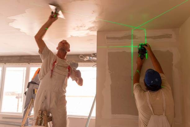 Professional Mold Removal in Sardinia, OH